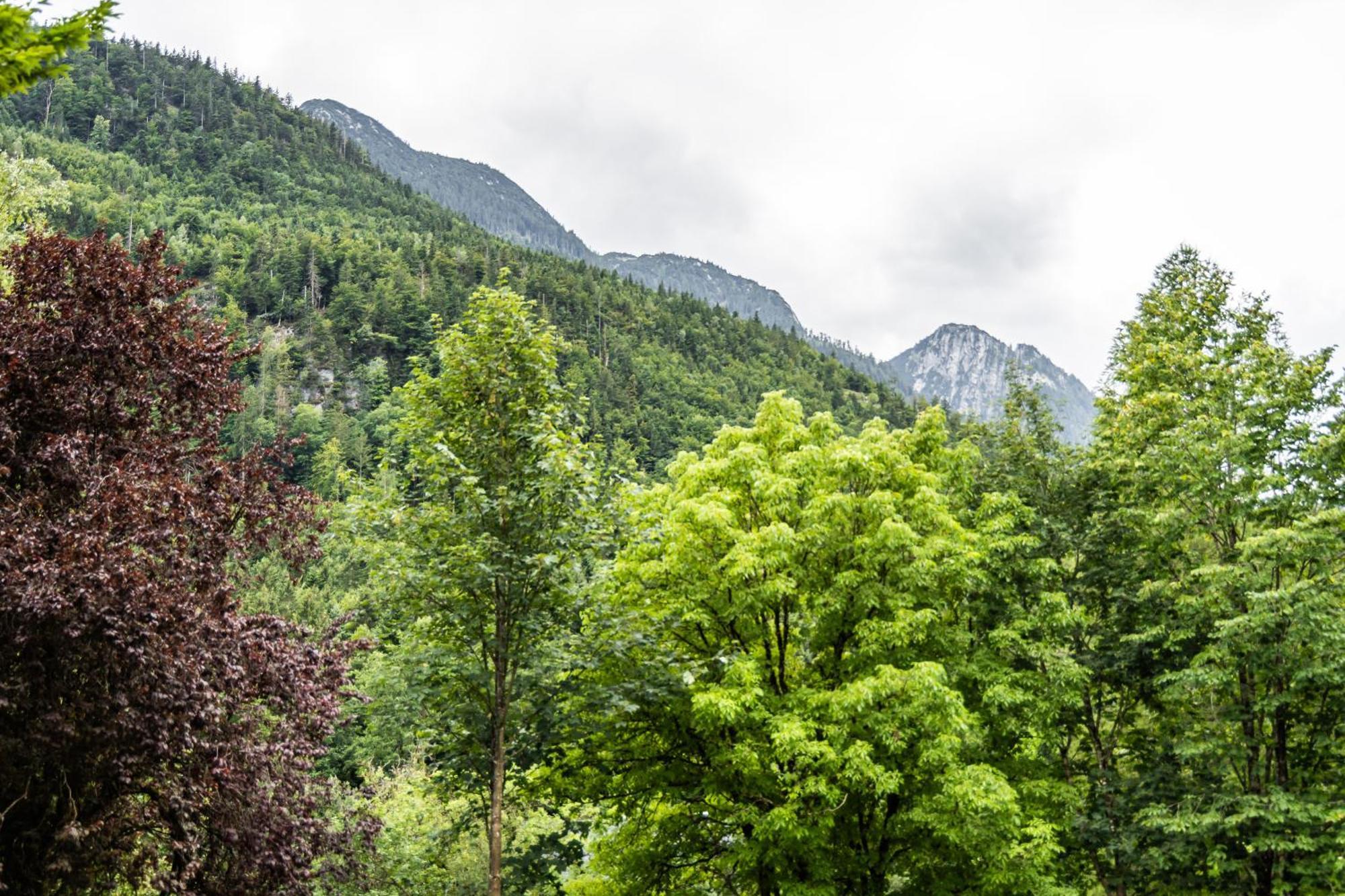 Alpin-Chalet In Alleinlage In Bad Ischl - Wald, Natur, Kamin & Sauna 外观 照片